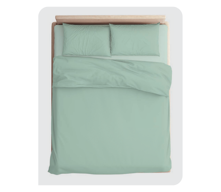 DYED 10: SUBTLE GREEN BVedsheet with 2 pillow cover