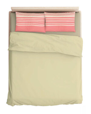 Gypsy 02 : Ivory/Shell Pink
